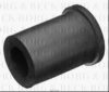 BORG & BECK BSK7648 Bush, leaf spring